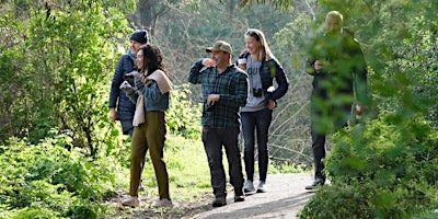 Imagem principal de JT Birds Tuesday Evening Birding Walk at North Lake in Golden Gate Park