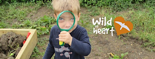 Crawling Caterpillars to Brilliant Butterflies- Play and Craft for Tots - The Nature Discovery Centre - Wednesday 31 July primary image