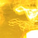 Organizer profile image