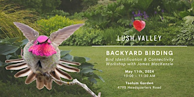 Primaire afbeelding van Backyard Birding: Bird Identification & Connectivity with James MacKenzie