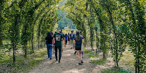 An Introduction to Forest Bathing  primärbild