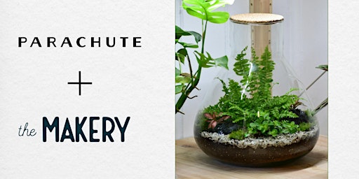 Primaire afbeelding van Terrarium Building