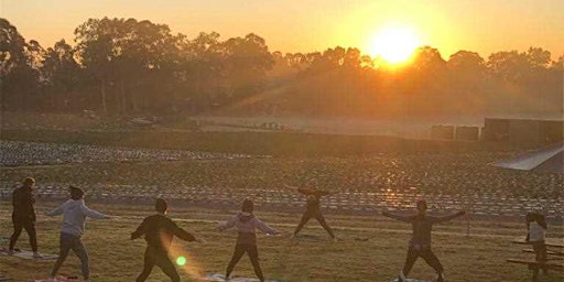 Hauptbild für Sunrise Yoga - Term 2, 2024