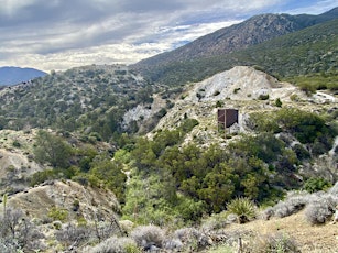 Dolomite Mine to Horsethief Creek on the Cactus Springs Trail primary image