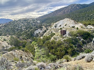 Dolomite Mine to Horsethief Creek on the Cactus Springs Trail