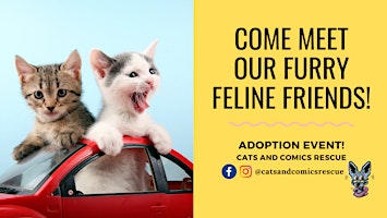 Cats & Coffee - Adoption Event @ Fika Fika Coffee/ H-Mart shopping center primary image