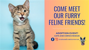 Imagem principal de Cat Adoption Event! @Upland Farmers Market