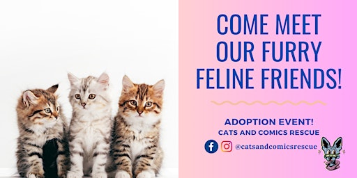 Immagine principale di Cats & Coffee - Adoption Event @ Fika Fika Coffee/H-Mart shopping center 