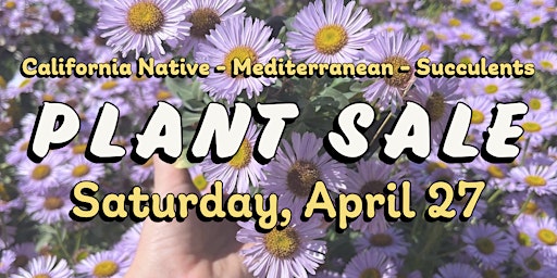 Primaire afbeelding van Plant Sale | California native - Mediterranean - Succulents