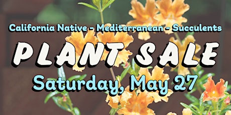 Plant Sale | California native - Mediterranean - Succulents
