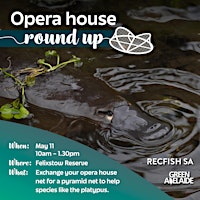 Image principale de Opera House Net Round Up