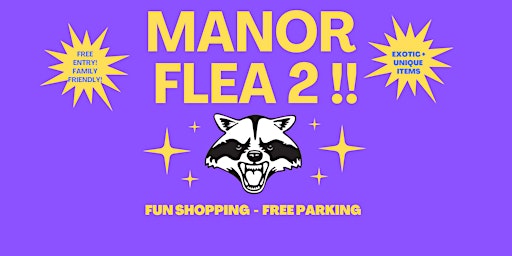 Imagem principal do evento Manor Flea 2