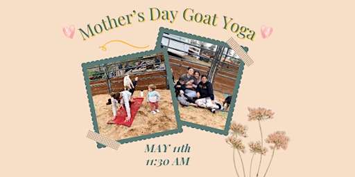 Imagem principal do evento Mother's Day Goat Yoga