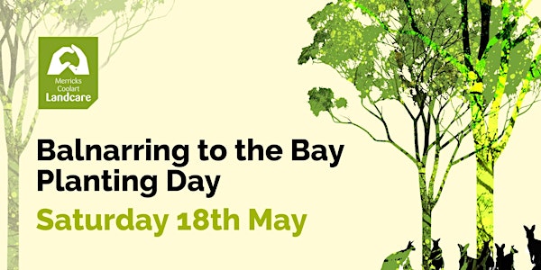 Balnarring to the Bay Planting Day