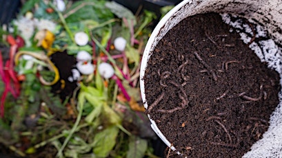 Composting – a different approach with Diana Cotter