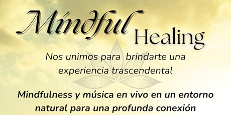 Mindful Healing "El despertar es ahora"