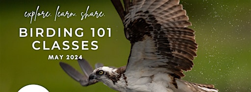 Collection image for Birding 101