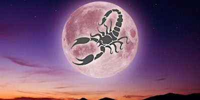 Pink Full Moon Healing Meditation Circle primary image