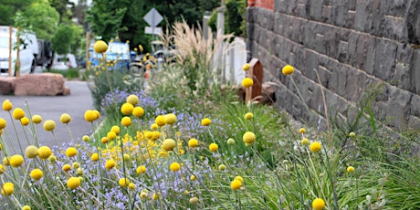 Ecology in Urban Streetscapes - Melbourne Design Week