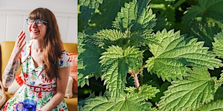 Nettle Fest: an Ode to Urtica dioica