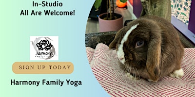 Hauptbild für Bunny Yoga: Yoga with Real RABBITS