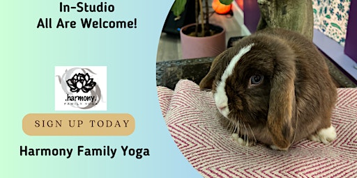 Hauptbild für Bunny Yoga: Yoga with Real RABBITS