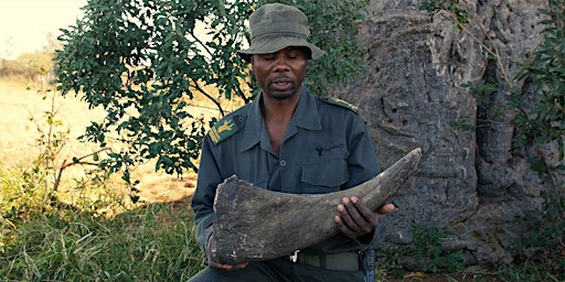 Hauptbild für RHINO MAN