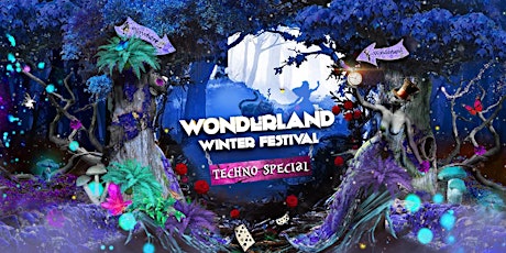 Primaire afbeelding van Wonderland Winter Festival - Techno Special