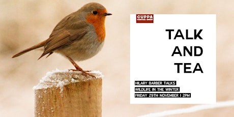 Talk & Tea - Hilary Barber talks Wildlife in Winter primary image