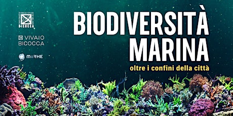 Biodiversità marina