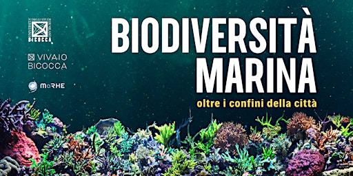 Hauptbild für Biodiversità marina