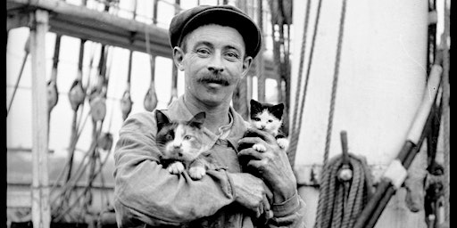 Imagem principal do evento Cats Ahoy: How the ship’s cat sailed into Australian history.