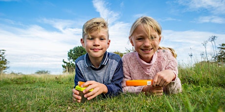 Family event Buzzing Bees and Beautiful Butterflies Woolley Firs Maidenhead - 31 July