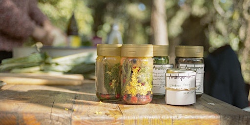 Seasonal Herbalism Series  primärbild