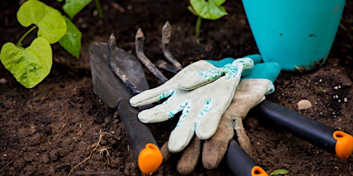 Hauptbild für GreenFingers at Mudeford Woods