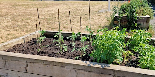 GreenFingers at Muscliff Park primary image