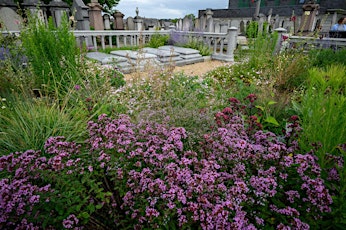 Family Discovery Day at Willesden Jewish Cemetery