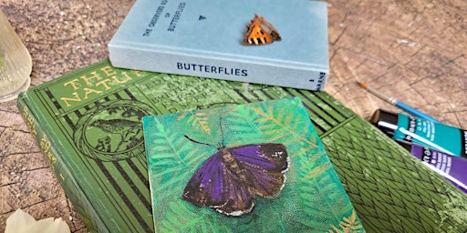 Art to Relax, Butterflies, Windsor Great Park - Wednesday 12 September primary image