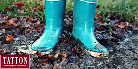 Welly Nature Walk at Tatton Park primary image