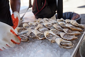Long Beach Oyster Fest primary image