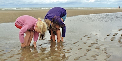 Home Education: Super Seagrass and Seaweed primary image