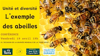 Unité et diversité, l'exemple des abeilles