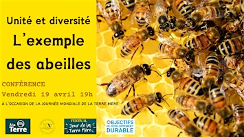 Primaire afbeelding van Unité et diversité, l'exemple des abeilles