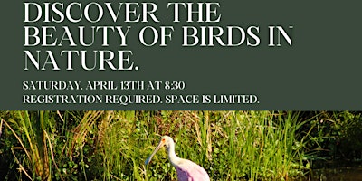 Imagen principal de RESCHEDULED TO 4/20 Guided Hike: All About Birds