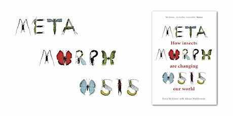 Imagen principal de Metamorphosis: how insects are changing our world