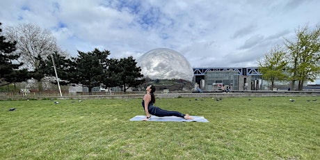 Cours de Yoga tous niveaux plein air