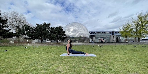 Imagem principal do evento Cours de Yoga tous niveaux plein air