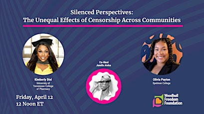 Silenced Perspectives: The Unequal Effects of Censorship Across Communities primary image
