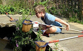 Primaire afbeelding van Blashford Lakes Wildlife Watch