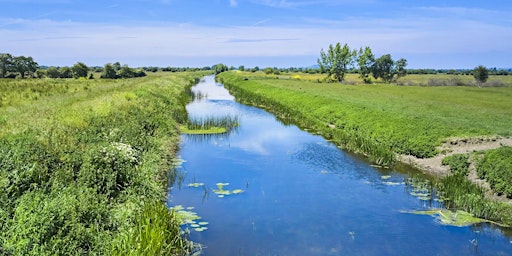 Primaire afbeelding van Honeygar 'Wilding'